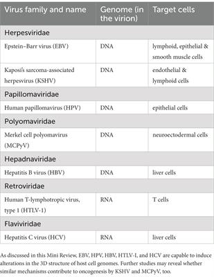 Human tumor viruses: induction of three-dimensional alterations in the host genome structure